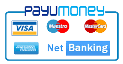 Online Payment